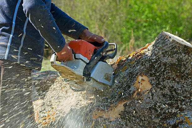 Soil Testing and Treatment in Sardis, MS